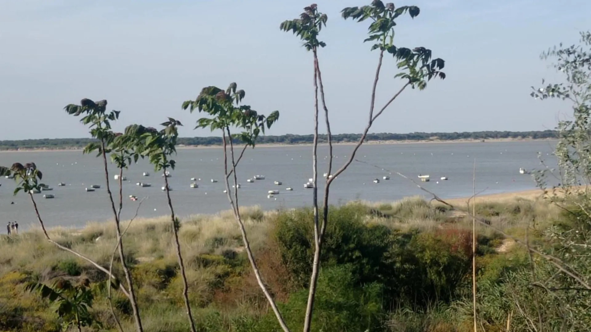 Apartamento Crucero 2, La Jara Sanlucar de Barrameda Apartment